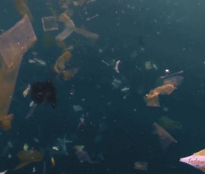 Λειτουργία